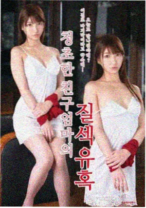 成年人视频免费看 剧集 绝命律师